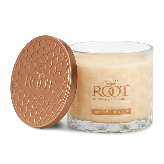 Root Sugared Grapefruit 3 Wick Honeycomb Candle