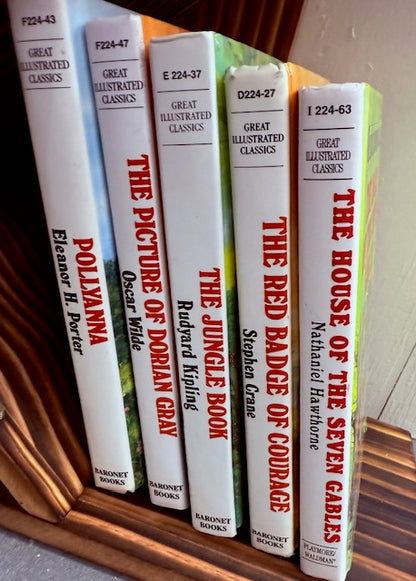 GREAT ILLUSTRATED CLASSICS - 40 BOOK SET