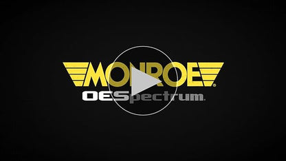72257 MONROE Oe Spectrum Suspension Strut 2006-2007 Ford Focus 2.3L