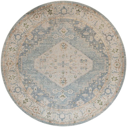 Nourison Astra Traditional Area Rug 3X5 Ft Beige Blue