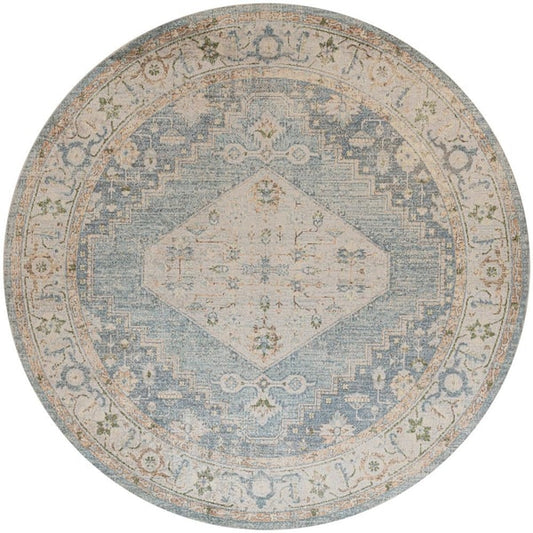 Nourison Astra Traditional Area Rug 3X5 Ft Beige Blue